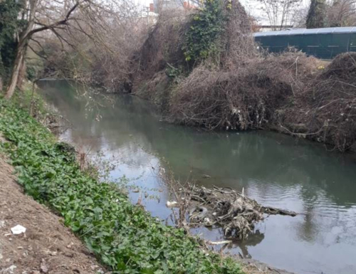 Canale Navile: lo stato di fatto 
