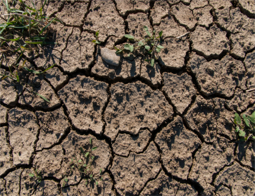 Cambiamenti climatici, bilancio irriguo e investimenti futuri