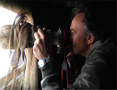 Ami la fotografia naturalistica? Scatti incredibili in valle!