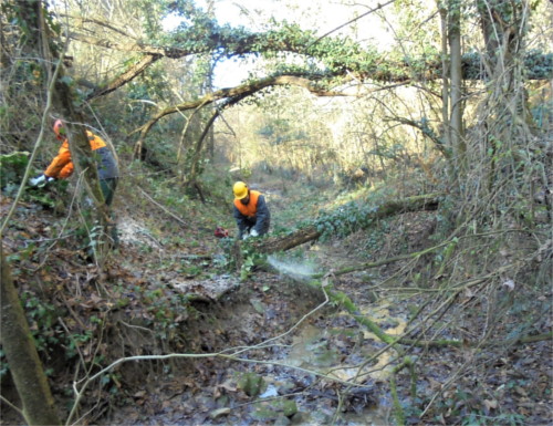 Riduzione del rischio idrogeologico nei rii bolognesi
