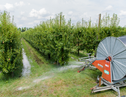 Bilancio irriguo 2018 e nuovi interventi di disponibilità idrica