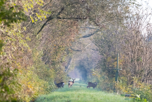 Foto Festival della Natura: al via la II edizione 