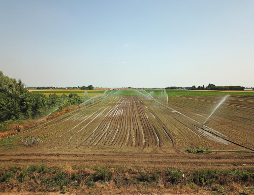 Nuovo regolamento irriguo: il 3° incontro a Malalbergo
