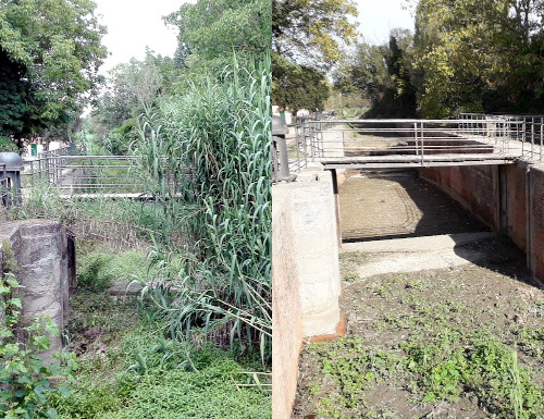 Navile: la riqualificazione del canale arriva a Corticella