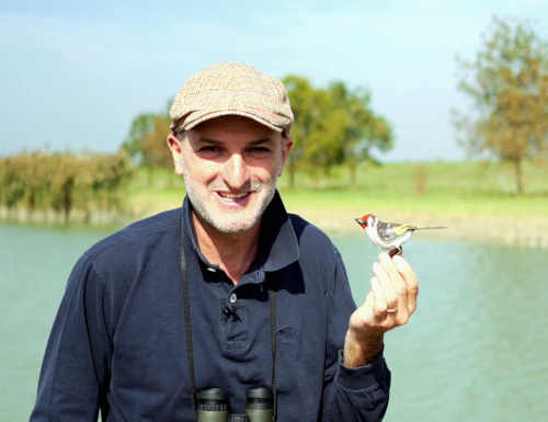 Registi in erba: crea un video sugli ambienti d'acqua dolce!