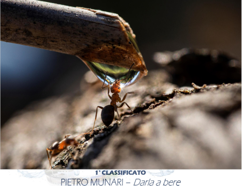 Torna il concorso fotografico nazionale Obiettivo Acqua