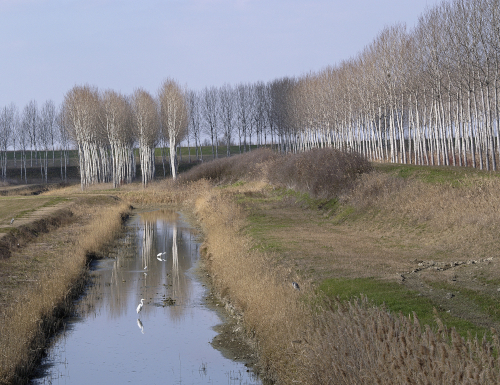 1° Meeting sull'acqua: obiettivo transizione irrigua