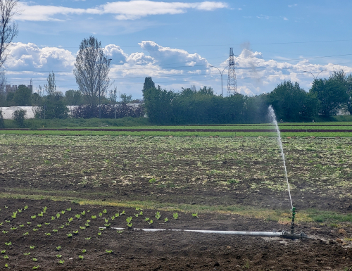 Le alte temperature prolungano la stagione irrigua 